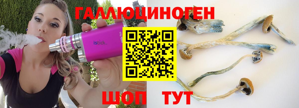 Псилоцибиновые грибы мухоморы  Вход с VPN  Севастополь 