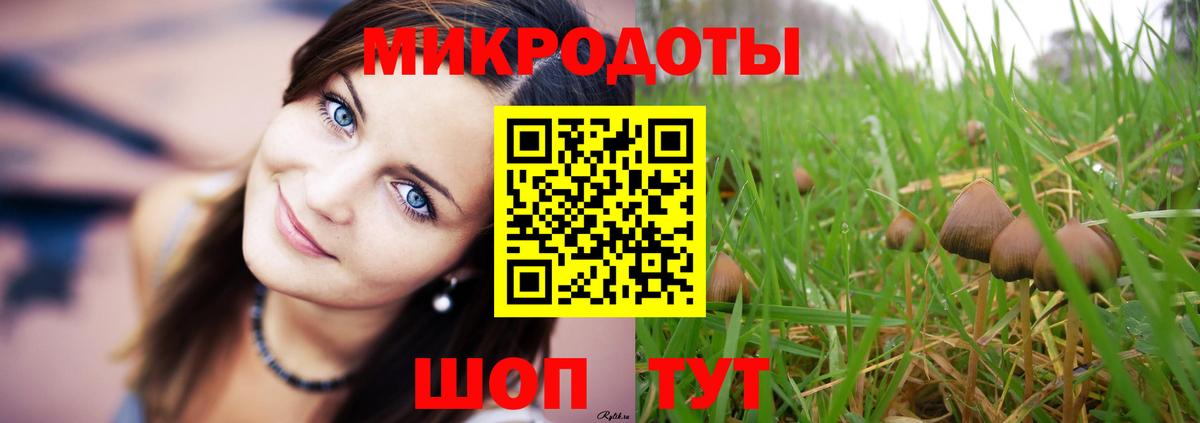 Псилоцибиновые грибы прущие грибы Севастополь